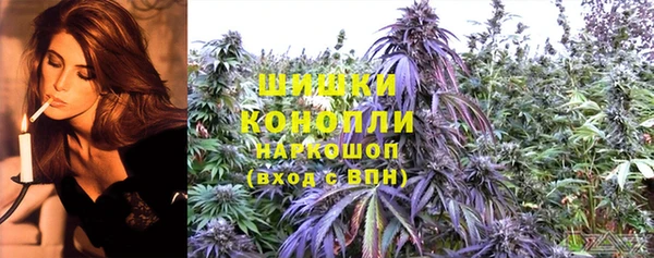 ПСИЛОЦИБИНОВЫЕ ГРИБЫ Верея