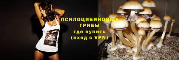 винт Верхний Тагил