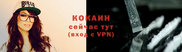 ПСИЛОЦИБИНОВЫЕ ГРИБЫ Верея
