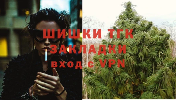 ПСИЛОЦИБИНОВЫЕ ГРИБЫ Верея
