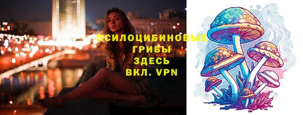 ПСИЛОЦИБИНОВЫЕ ГРИБЫ Верея