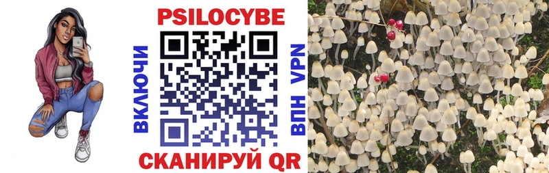 Галлюциногенные грибы GOLDEN TEACHER hydra вход Якутск сколько стоит